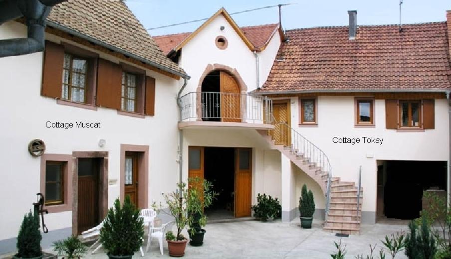 Gites Le Tokay Et Le Muscat Gertwiller Quarto foto