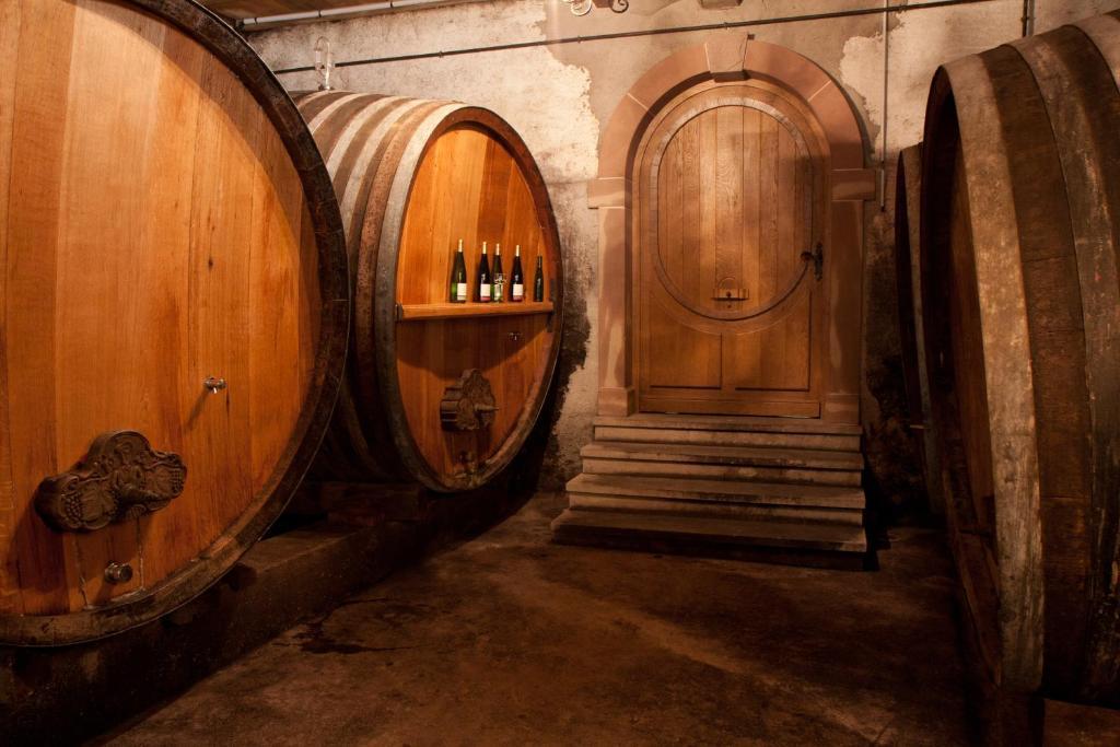Gites Le Tokay Et Le Muscat Gertwiller Quarto foto